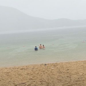 Meet your Posher, Izzy